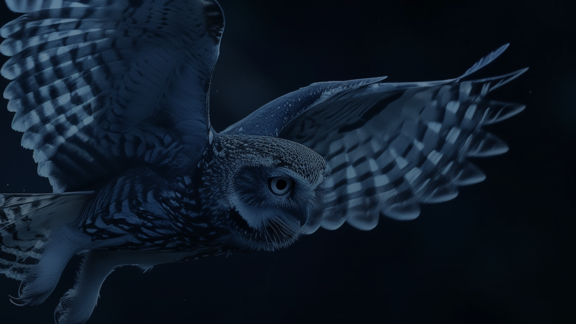 a-banner